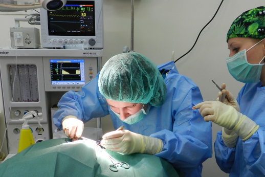 Po įtraukiančių studijų – užtikrintas, įdomus, pilnas iššūkių darbas