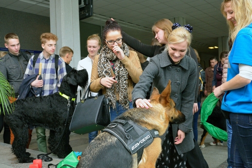 VGTU studentams egzaminų stresą malšino šunys