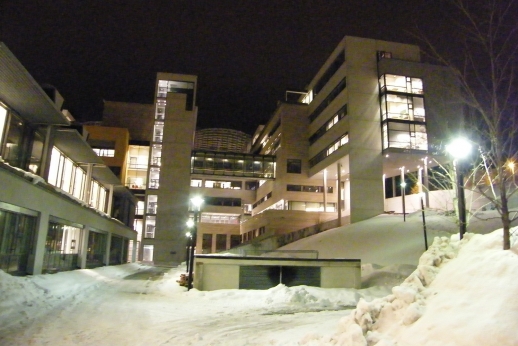 Studijos atšiaurioje Norvegijoje subrandino požiūrį į darbą