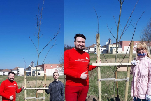 Lietuvos verslo kolegija - ,,Šimtmečio giraitė